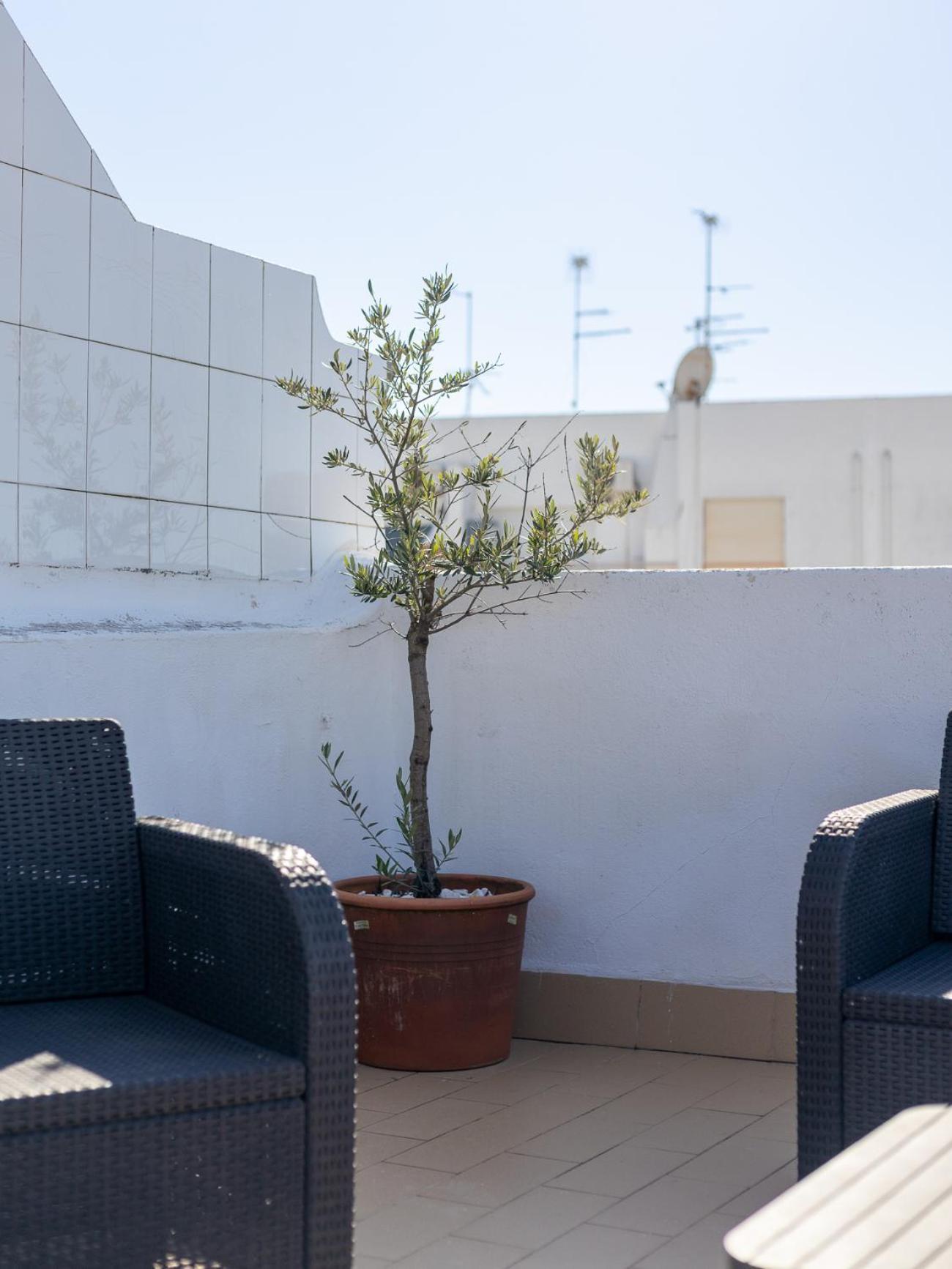 Casinha Da Barreta Holiday home *